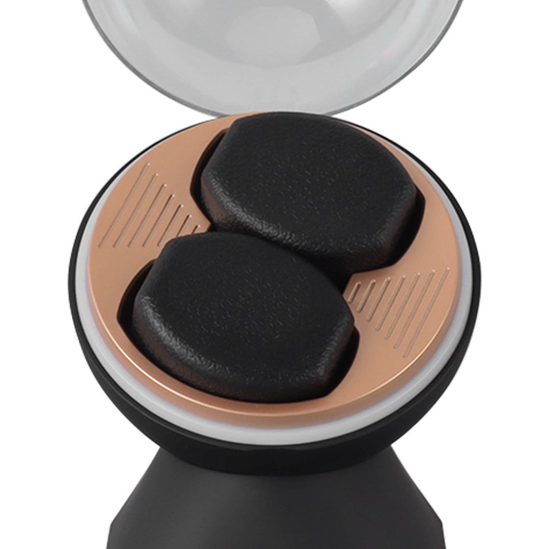 Watch Winder High End Automatic Double Watch Winder for Women