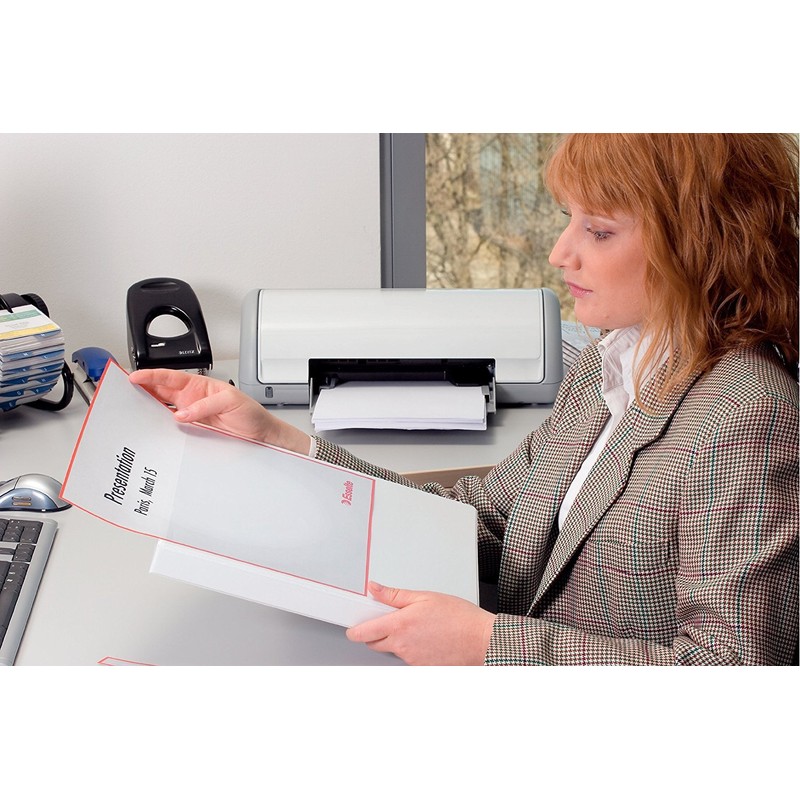 Esselte Presentation Ring Binder A4 Parent ASIN - DE(4)