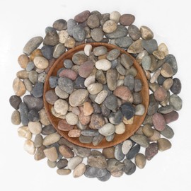 5 lbs Small River Stones 0.5-1 Inch Natural Water-Washed Pebbles for Aquarium Decor, Bonsai Trees, and Pathway Design. Perfect for Garden Beds,Terrariums, and Adding a Natural Touch to Home Decor