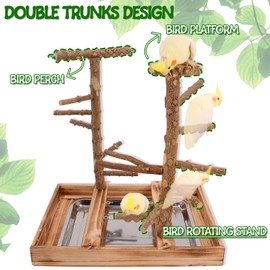 LIMIO Bird Playground - Natural Wood Bird Perch Stand with Removable Tray and 2 Stainless Steel Cups