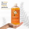Shampoo De Caléndula Brillo E Hidratación Productos Mart Mexico 500