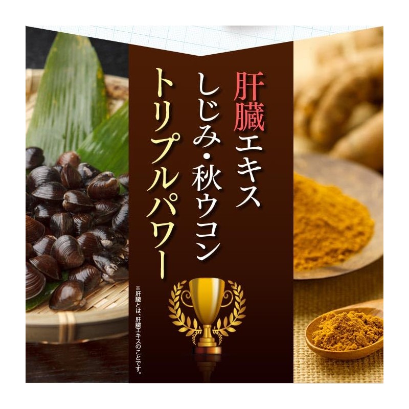 レバスターEX 1箱60粒（約30日分）肝臓エキス ウコン L-オルニチン