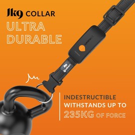 Weenect Dog XT - NEW GPS Collar for Dogs | XL Antenna | Waterproof | Ultra-Durable Integrated Julius-K9 Black Collar 3-month subscription included