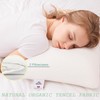 Talatex 100% Natural Premium Thin Latex Pillow, Ultra Thin Pillows,