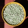 French Flageolet Bean Seeds (25) / ORGANIC / BUSH BEAN