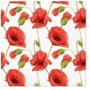 Decoupage Paper Napkins Luncheon Spring Floral Flowers Poppies Pack of