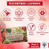 Wavertree & London Persimmon & Red Currant Scented Natural Soap