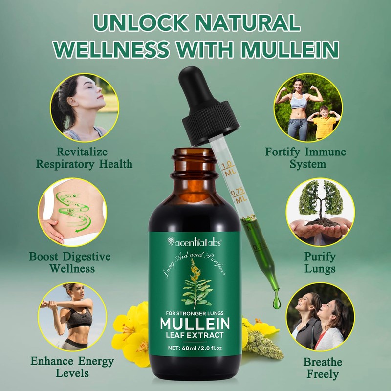 Mullein Drops for Lungs 4 Fl Oz - Mullein Leaf