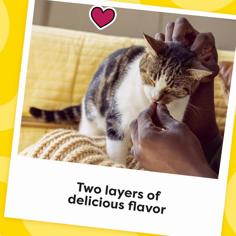 Temptations Meaty MixUps Cat Treats with Salmon & Tuna, 4.12