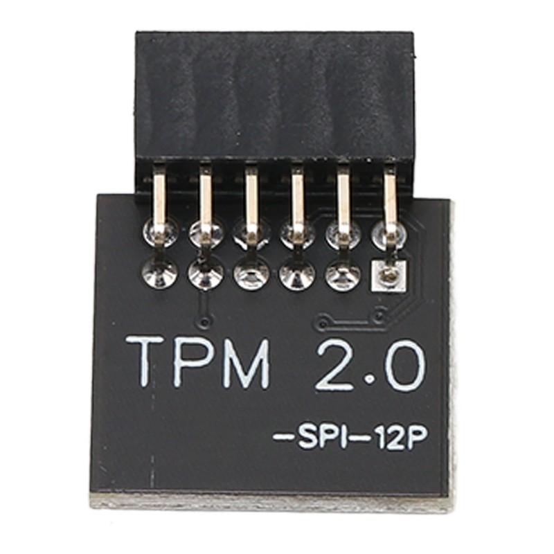 TPM2.0 Encryption Security Module for GIGABYTE Mainboard SPI 12Pin Security