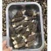 VIGOROUS MOUNTAINS Dried Morel Mushrooms (2Ounces)