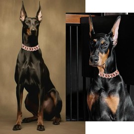 Dog Collar Cuban Link Rose Glod Crystal Dog Necklace Metal Chain Collar with Design Secure Buckle Pet Collar Jewelry Accessories for Small Medium Large Dogs Cats(Rose Glod 8inch)