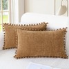 CaliTime Throw Pillow Covers Decorative 20 X 12 Inches Pack