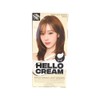 Mise-en-scène Hello Cream Hair Dye 10WLB Warm Light Brown / 미쟝센 헬로크림 염색약 10WLB 웜라이트브라운