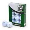 Second Chance Lake Golf Balls - 12 Assorted Recycled Grade