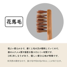 ファイン MEGURU 竹の歯ブラシ 花馬毛 4本セット 生分解性 脱プラ国産歯ブラシ エコ