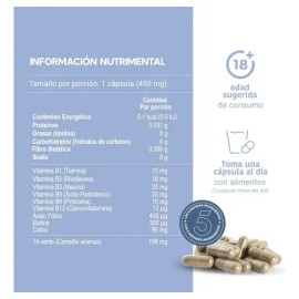 Vitaminas B3 B5 B12 Biotina Acido Fólico Lifeed5 60 Cápsulas Sabor Sin sabor