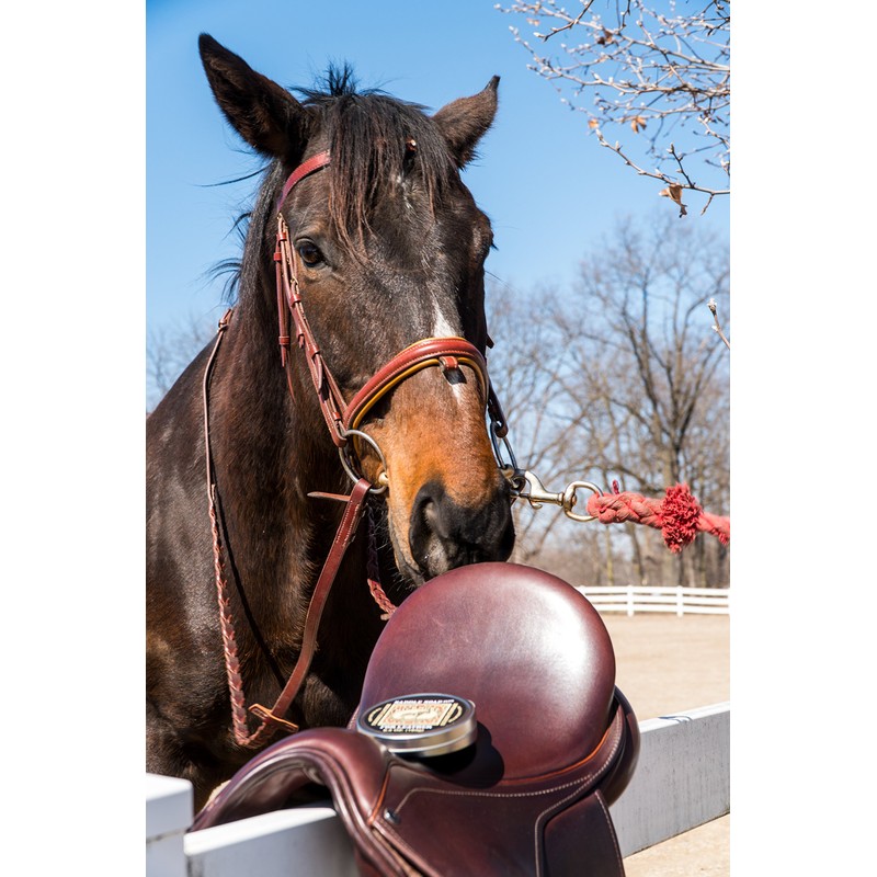 Bickmore Saddle Soap Plus - 2.8oz - Leather Cleaner &