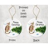 HTDesigns Abyssinian Cat Christmas Ornament - Funny Cats Ornaments -