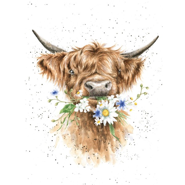 Wrendale Designs Greeting Card - DAISY COW (Cow)