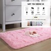 Washable Fluffy Rug, 60x120CM Extra Thick 3.0 cm Rectangular Rug