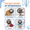 Supet Soft Dog Cone Collar for Small Dogs, Comfortable Mesh
