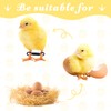 MANOPAWS 100pcs Adjustable Baby Chicken Splay Leg Hobble Braces, Poultry