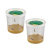 Insect Lore 2 Cups of Caterpillars Basic | 10 Live
