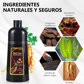 Champú Instant Hair Color para Cabello,Champú para Teñir el Cabello, Champú Tinte Instantáneo 3 En 1,Coloración a Base de Hierbas en Minutos para Mujeres y HombresTeñir el Cabello (Negro)