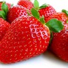 10 Albion Everbearing Strawberry Plants-Large, Sweet Berry