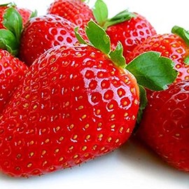 10 Albion Everbearing Strawberry Plants-Large, Sweet Berry