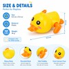 Wind-Up Baby Bath Toys Set for Kids – Cute Swimming