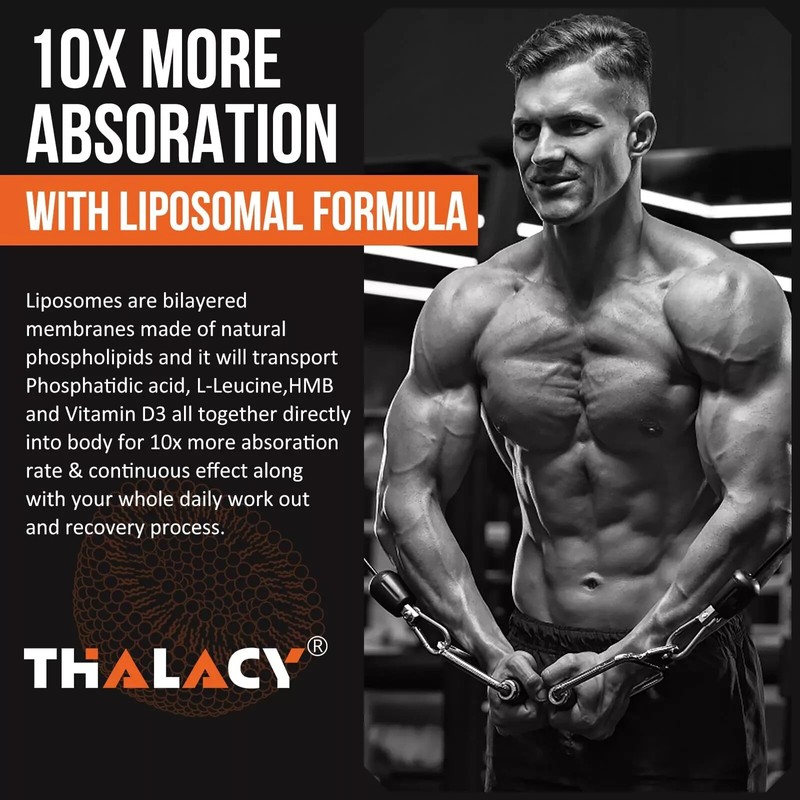 Thalacy 2000mg Liposomal Phosphatidic Acid Muscle Builder PA High Absorption