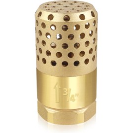 Brass Foot Valve 3/4 inch NPT Heavy Duty Spring Mesh Check Valve Female Connection One Way Foot Valve Backflow Preventer with Holes Strainer Filter for Well Jet Pumps Foot Valv (3/4'' NPT)