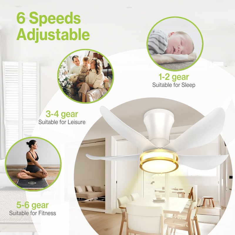 DAMINY 30 Inch White and Gold 5 Blade Ceiling Fan