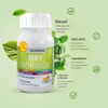 Mry Moringa Tabletas 500 100 Naturales Apoyo Anti Oxidativo Antiinflamatorio