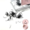 Linny Lashes 5D Eyelash Fans, C-Curl Eyelash Extensions, 500 Ready