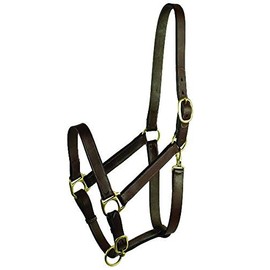 GATSBY LEATHER COMPANY 203S/2 Stable Halter with Snap