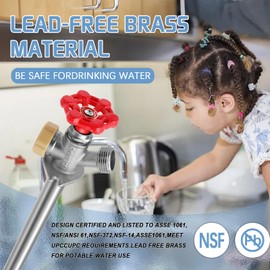 Boltigen 12inch Anti-Siphon Frost Free Sillcock, No Lead Brass Frost Proof Outdoor Faucet Bib with Backflow Preventer, 1/2" Push-to-Fit Connector X 3/4 Inch Hose Bibb Frost Free Spigot