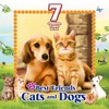 World of Animals: Pets 'n Pals Collection - 7 Complete