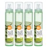 Large Aloe Mist 125ml x 4 / 알로에 대용량 미스트 125ml x 4개