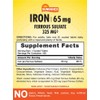 Sundance Iron Supplement Ferrous Sulfate 325mg | 100 Tablets |