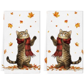 QIONG MENG Fall Kitchen Towels 18x26 Inch Cat Maple Leaves Dish Towel Absorbent Hand Towels Autumn Harvest Home Kitchen Decoration Set of 2