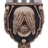 Nemesis Now Three Wise Skeleton Goblet 20cm, Resin/Stainless Steel, Bone/Black,