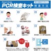 SS Dnaform SmartAmp New Corona PCR Inspection Kit, 1 Piece,
