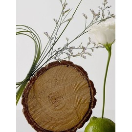 Diffuser Metropolis Groove / 디퓨저 메트로폴리스 그루브