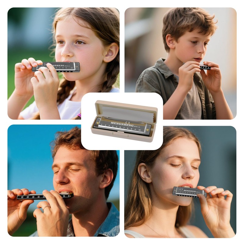 Harmonica C Key 10-Hole Diatonic Mouth Organ, Compact Harmonicas for