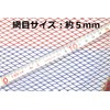 TEAM TSURIO RAINBOW 8 Fishing Man Rainbow Rubber Coat 3