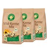 3 x CLASEN Organic Vital Kernel Mix - 175 g