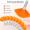 9 Pieces Facial Fan Mask Brushes, Soft Facial Applicator Brushes